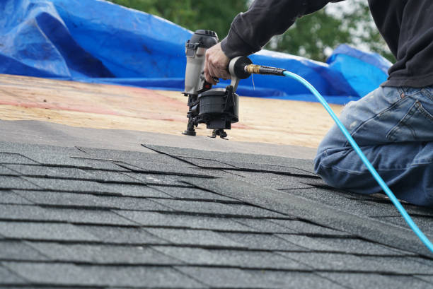 Best Roof Leak Repair  in Van Wert, OH